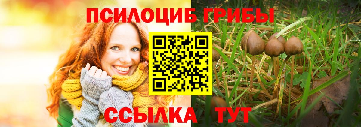 Галлюциногенные грибы GOLDEN TEACHER Москва